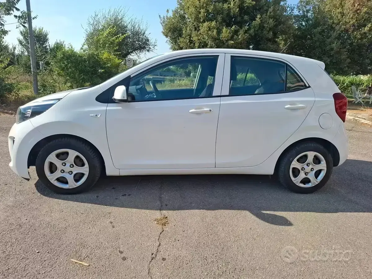 Usata Kia Picanto City 67 CV (49 kW) 2018 Bianco Utilitaria