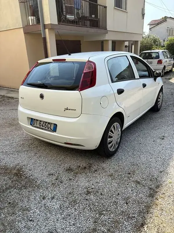 Usata Fiat Punto Classica 60 CV (44 kW) 2008 Utilitaria