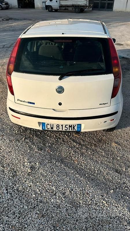 Usata Fiat Punto 2005 Bianco Utilitaria