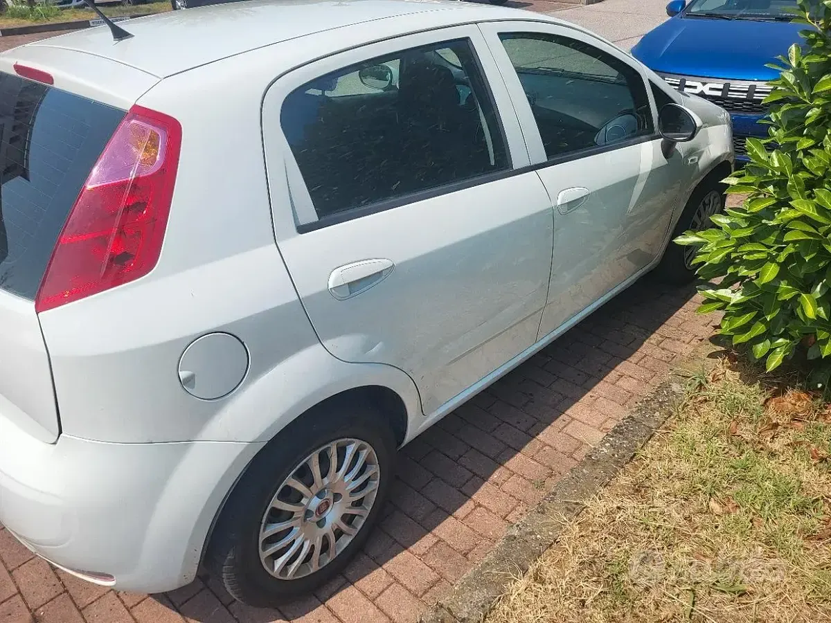 Usata Fiat Punto 95 CV (69 kW) 2017 Bianco Utilitaria