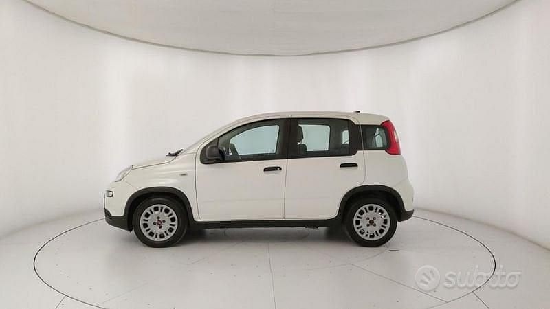 Usata Fiat Panda S 69 CV (50 kW) 2023 Bianco Utilitaria