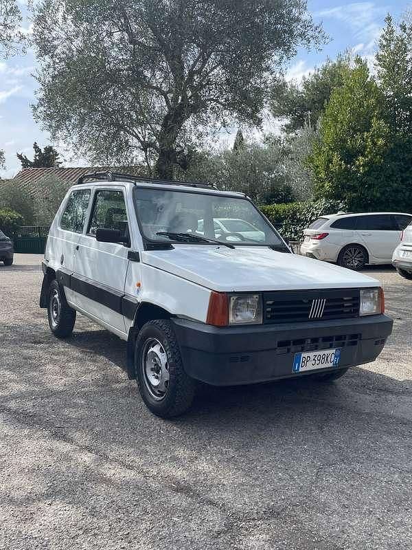 Usata Fiat Panda 4x4 Trekking 54 CV (39 kW) 2001 Bianco Utilitaria