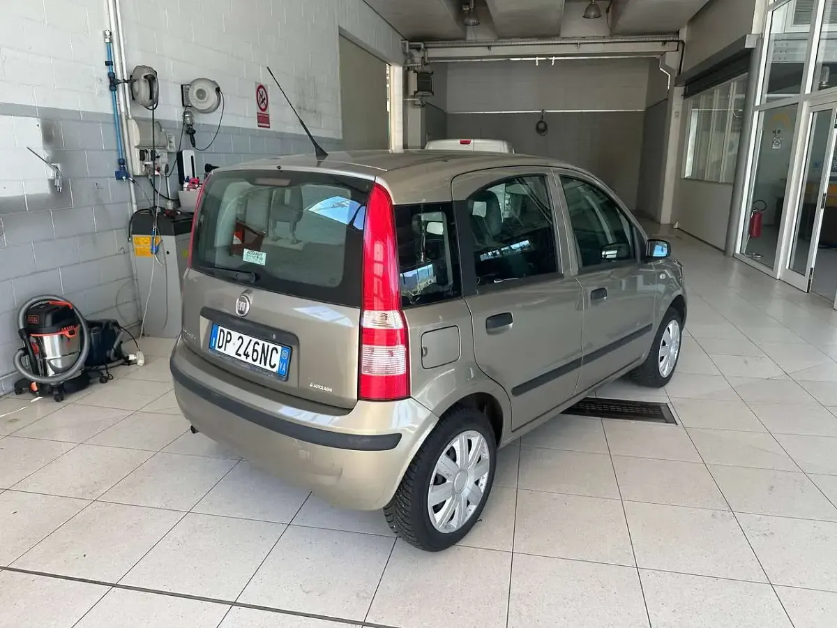 Usata Fiat Panda Dynamic 60 CV (44 kW) 2008 Bronze Utilitaria