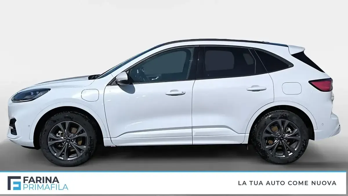 Usata Ford Kuga ST-Line X 152 CV (111 kW) 2023 Bianco SUV