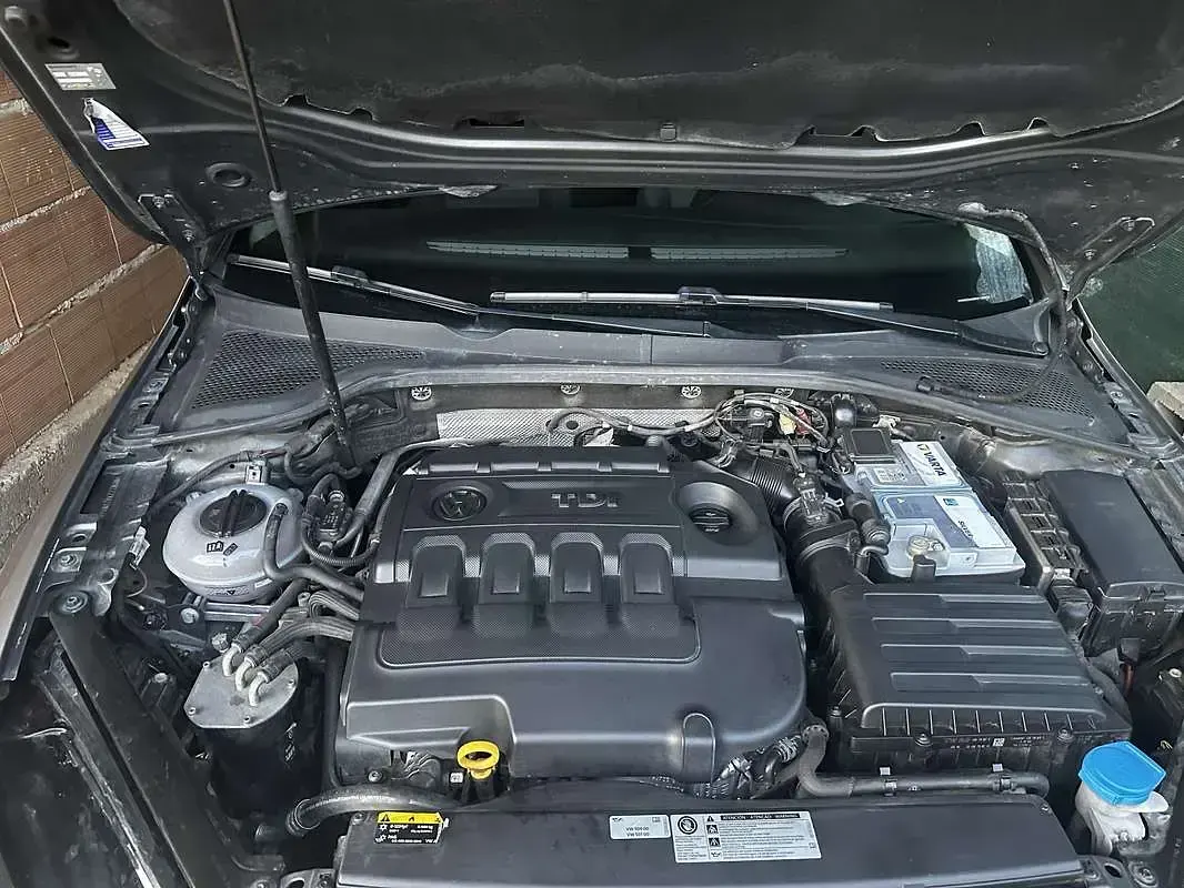 Usata VW Golf VII Business 116 CV (85 kW) 2019 Argento Berlina