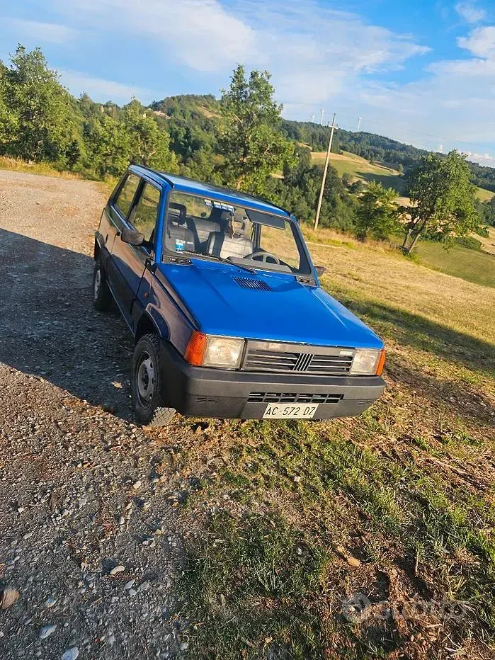 Usata Fiat Panda 4x4 Trekking 50 CV (36 kW) 1994 Blu Utilitaria