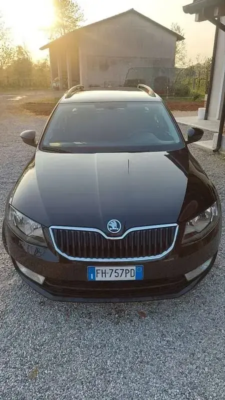 Usata Skoda Octavia Ambiente 110 CV (80 kW) 2017 Nero Station wagon