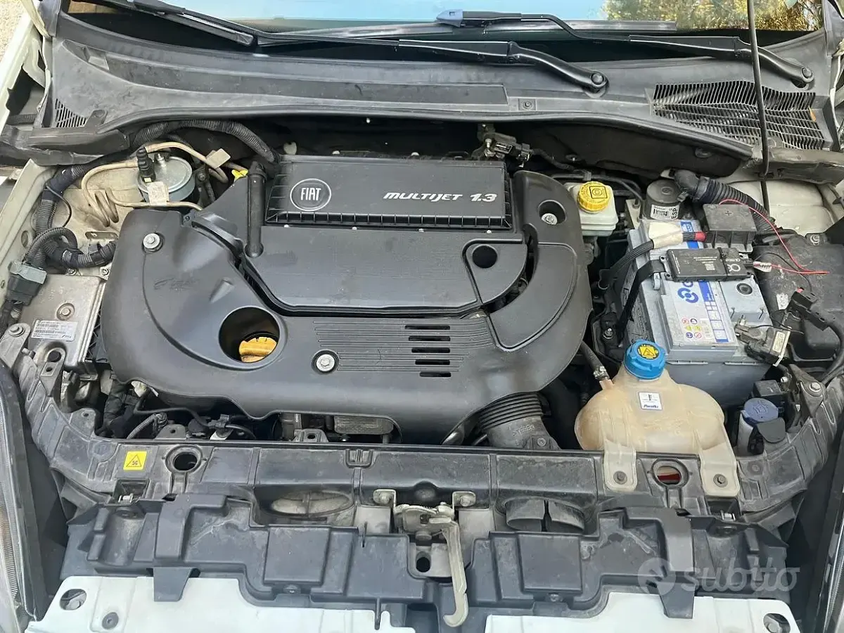 Usata Fiat Punto 75 CV (55 kW) 2011 Bianco Utilitaria