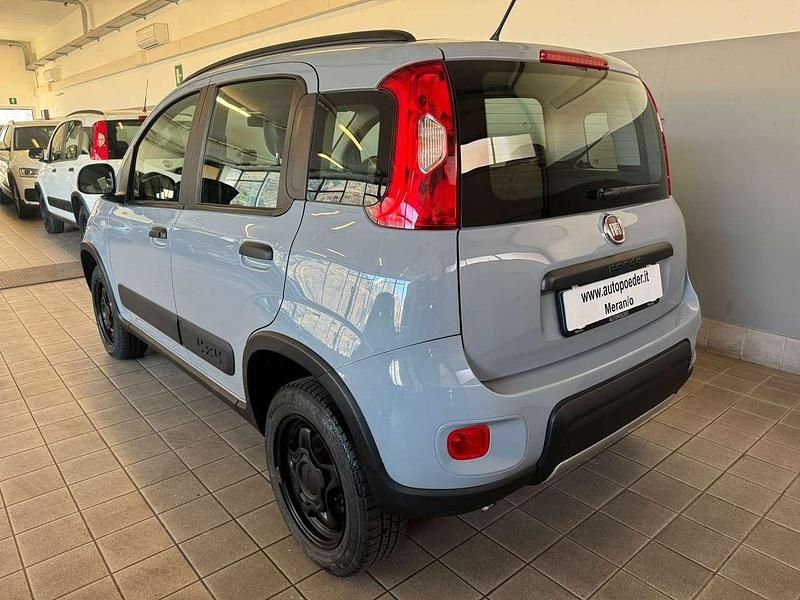Usata Fiat Panda 4x4 S 86 CV (63 kW) 2019 Grigio Utilitaria