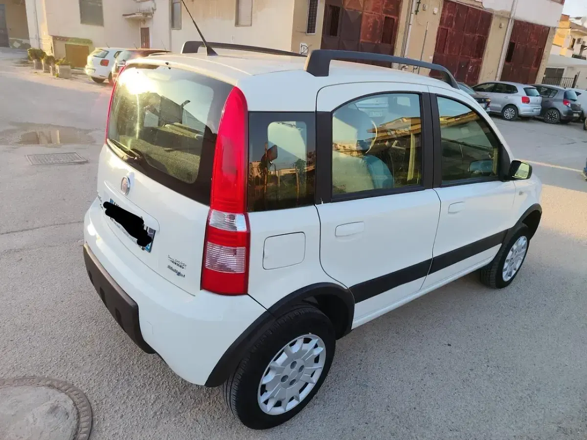 Usata Fiat Panda 4x4 Climbing 69 CV (50 kW) 2007 Bianco Utilitaria