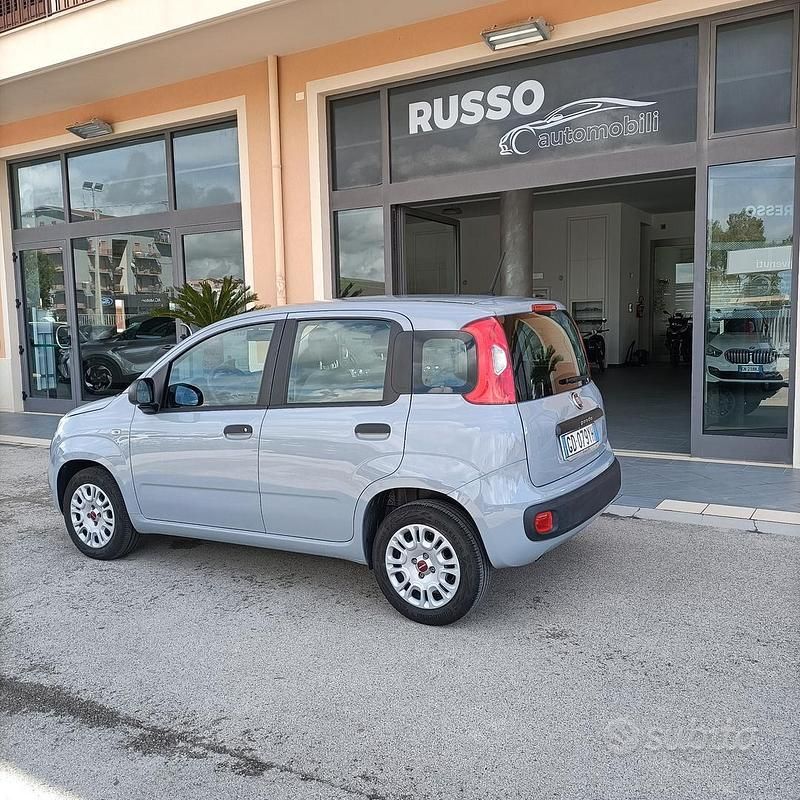 Usata Fiat Panda Easy 69 CV (50 kW) 2020 Grigio Utilitaria