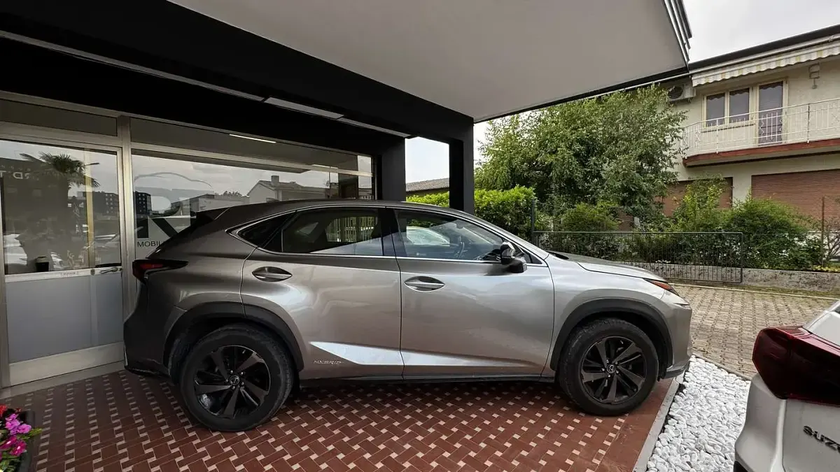 Usata Lexus NX300h Sport Line 197 CV (144 kW) 2021 Grigio SUV