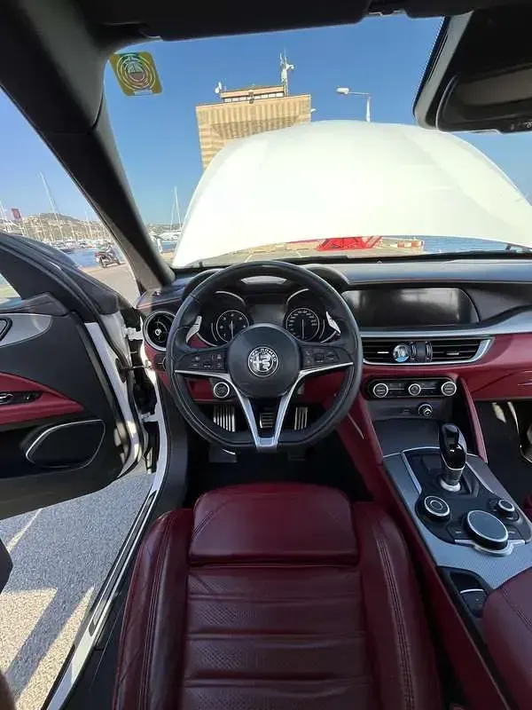 Usata Alfa Romeo Stelvio Executive 209 CV (153 kW) 2019 SUV