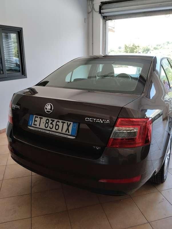 Usata Skoda Octavia Ambition 105 CV (77 kW) 2014 Marrone Berlina