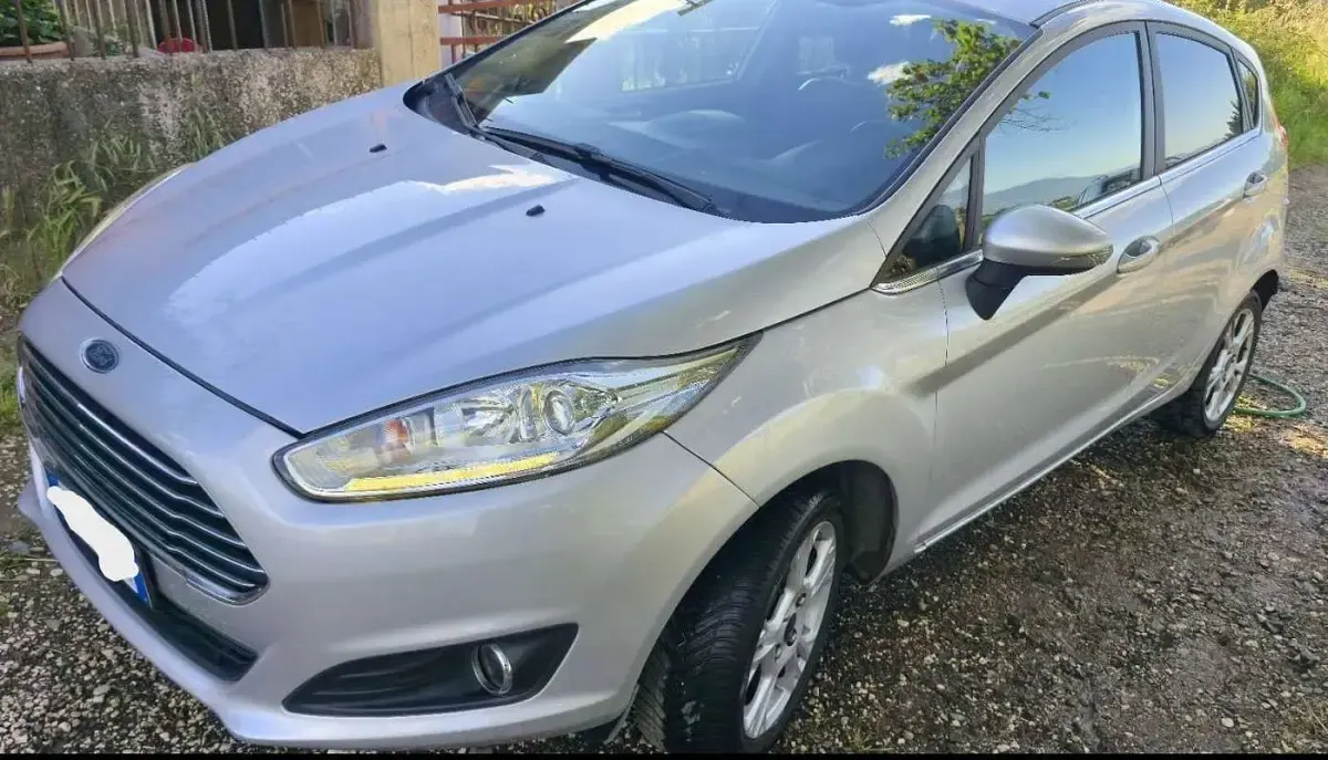 Usata Ford Fiesta Business Edition 97 CV (71 kW) 2017 Argento Utilitaria