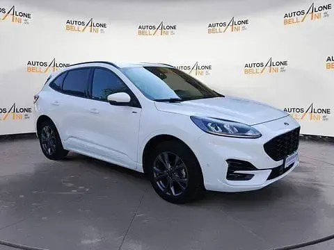 Usata Ford Kuga ST-Line 224 CV (164 kW) 2022 Bianco SUV