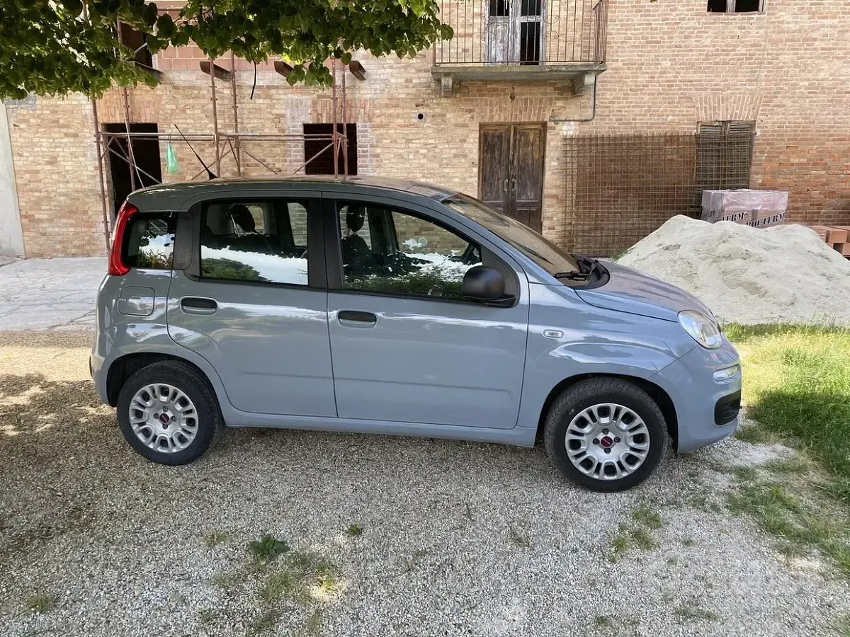 Usata Fiat Panda 69 CV (50 kW) 2018 Grigio Utilitaria