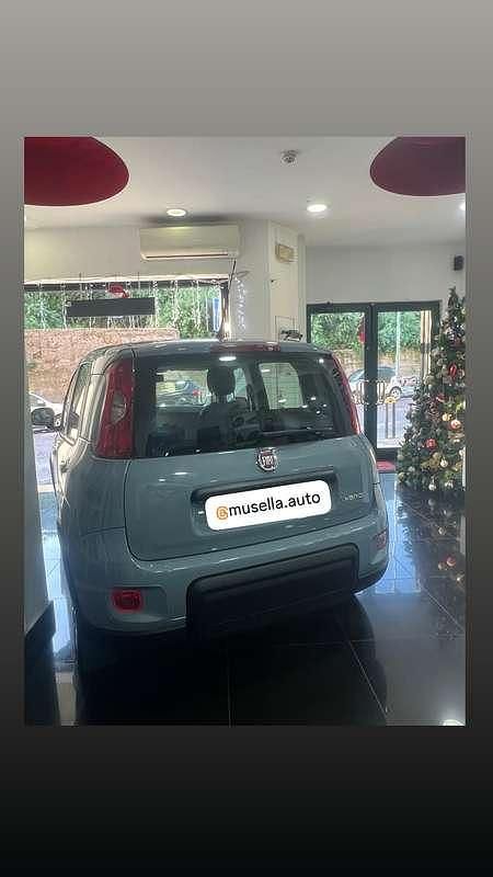 Usata Fiat Panda 69 CV (50 kW) 2022 Utilitaria