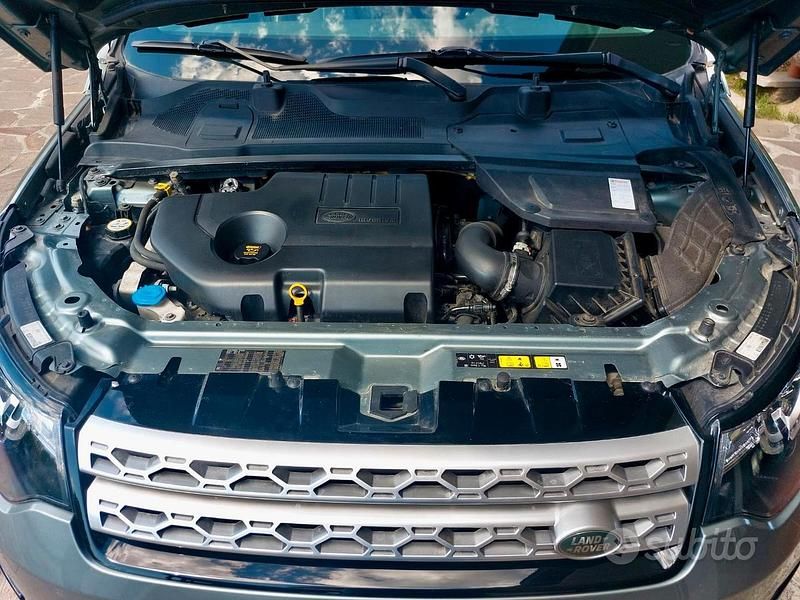 Usata Land Rover Discovery Sport HSE 180 CV (132 kW) 2015 Verde SUV