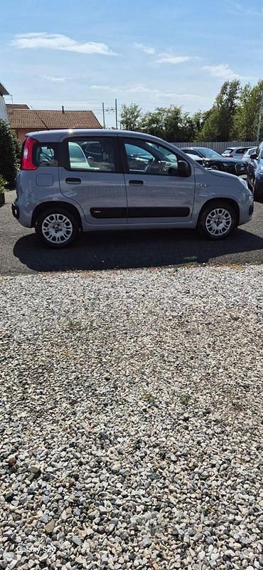 Usata Fiat Panda Easy 69 CV (50 kW) 2018 Grigio Utilitaria