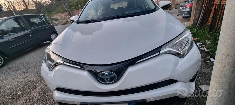 Usata Toyota RAV4 Hybrid 143 CV (105 kW) 2017 Bianco SUV