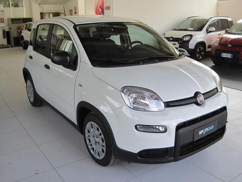 Usata Fiat Panda S 70 CV (51 kW) 2024 Bianco Utilitaria