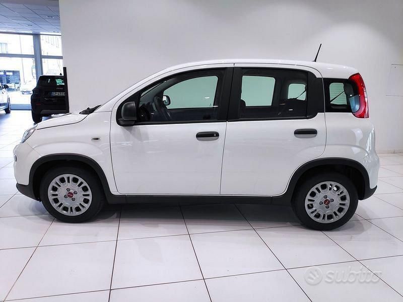 Usata Fiat Panda 70 CV (51 kW) 2024 Bianco Utilitaria