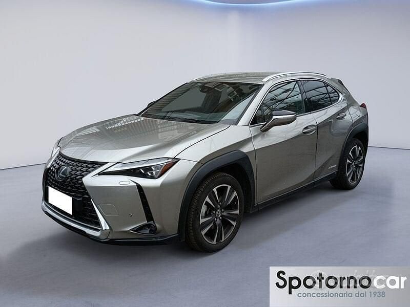 Usata Lexus UX Luxury Line 183 CV (134 kW) 2019 Grigio SUV