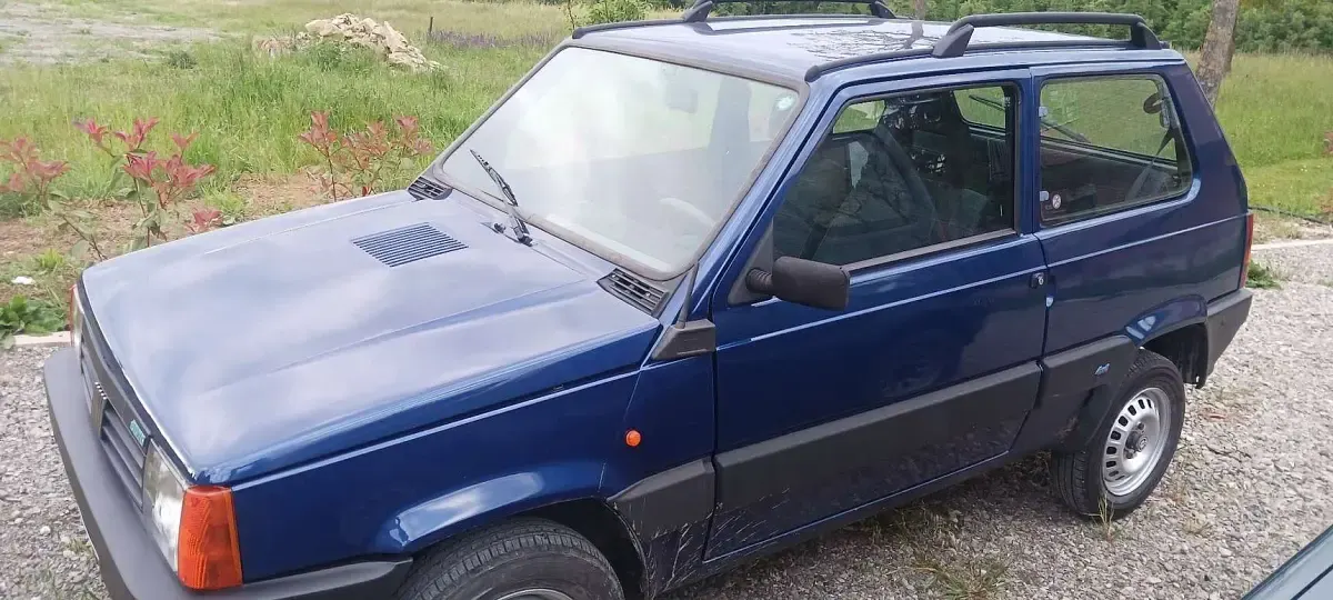 Usata Fiat Panda 4x4 Trekking 54 CV (39 kW) 2001 Utilitaria