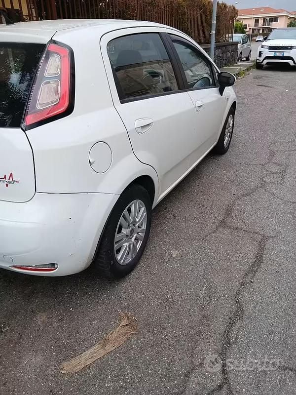 Usata Fiat Punto 75 CV (55 kW) 2014 Bianco Utilitaria