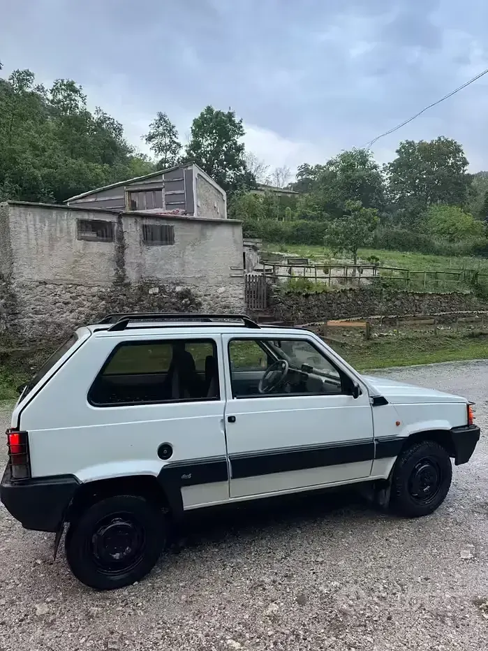 Usata Fiat Panda 4x4 54 CV (39 kW) 1998 Bianco Utilitaria