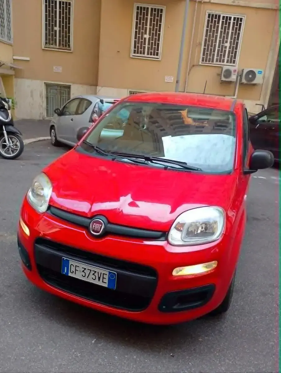 Usata Fiat Panda S 70 CV (51 kW) 2021 Rosso Utilitaria