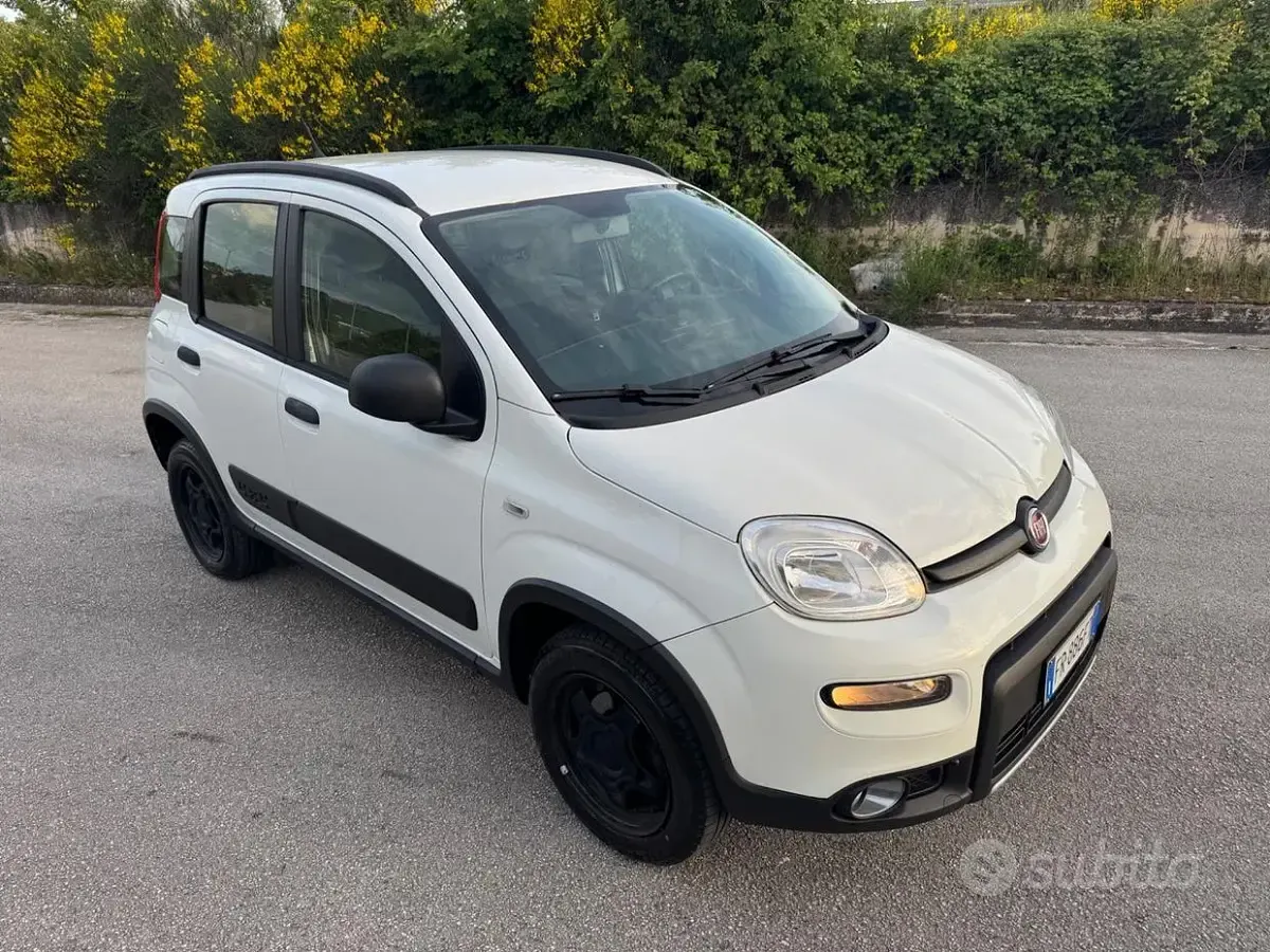 Usata Fiat Panda 4x4 S 95 CV (69 kW) 2018 Bianco Utilitaria