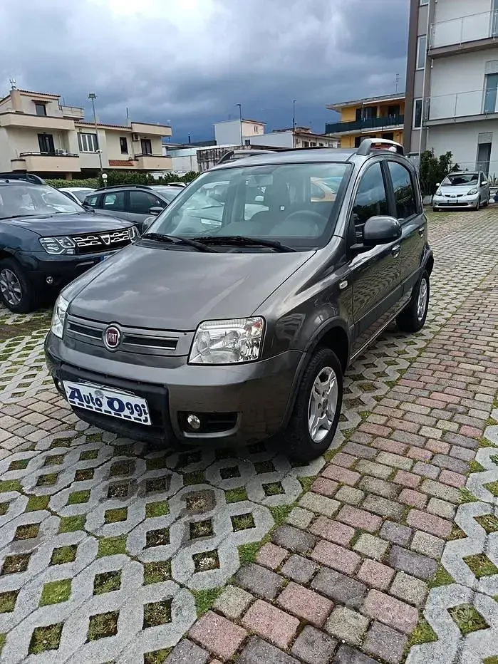 Usata Fiat Panda 4x4 Climbing 75 CV (55 kW) 2012 Grigio Utilitaria