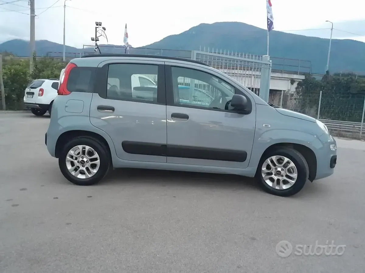 Usata Fiat Panda Lounge 69 CV (50 kW) 2021 Grigio Utilitaria