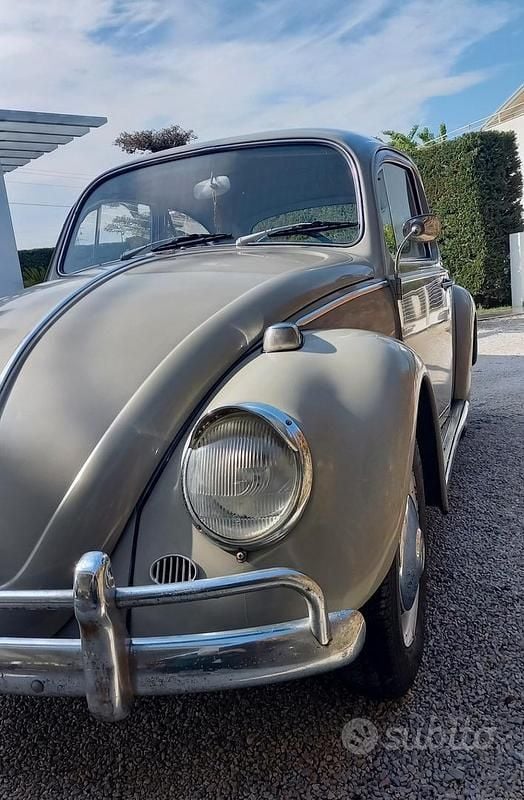 Usata VW Beetle 1960 Utilitaria