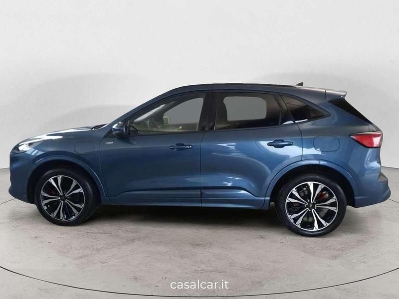 Usata Ford Kuga ST-Line 224 CV (164 kW) 2023 Blu/azzurro SUV