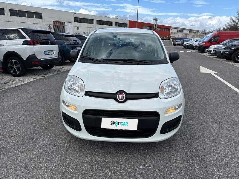 Usata Fiat Panda S 70 CV (51 kW) 2021 Bianco Utilitaria