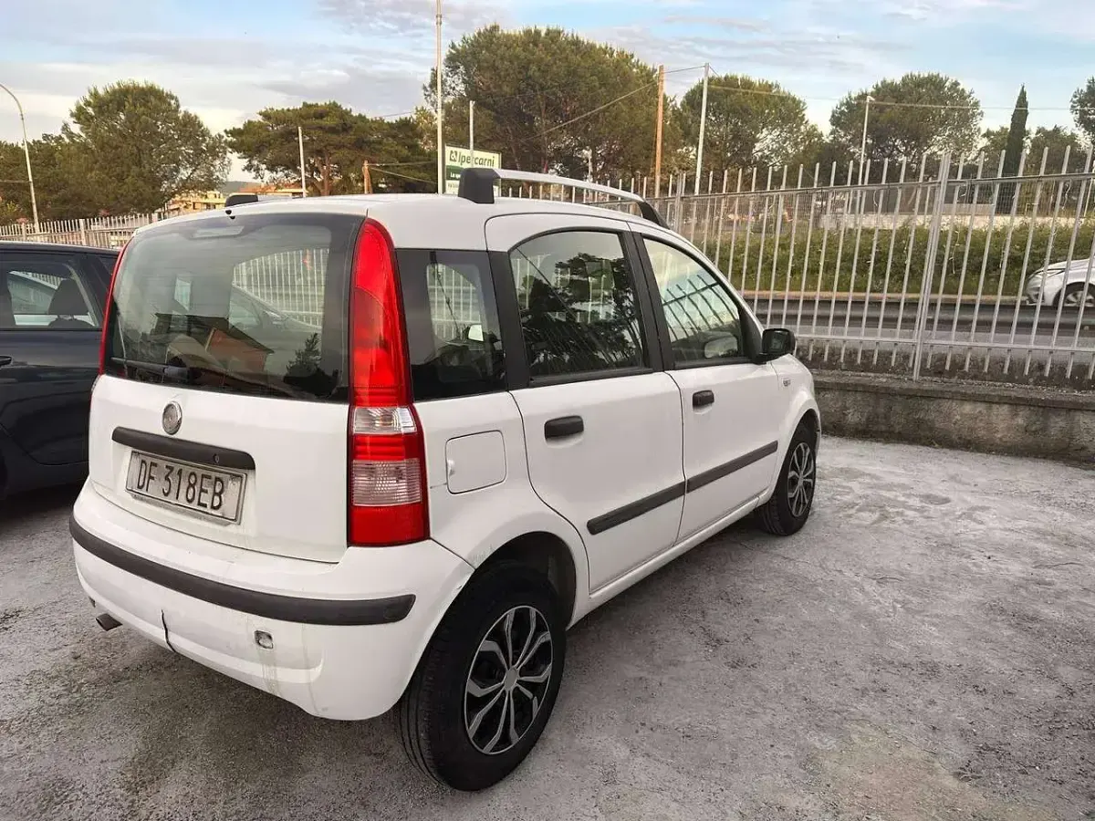 Usata Fiat Panda Active 54 CV (39 kW) 2006 Bianco Utilitaria