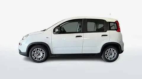 Usata Fiat Panda Easy 69 CV (50 kW) 2024 Bianco Utilitaria