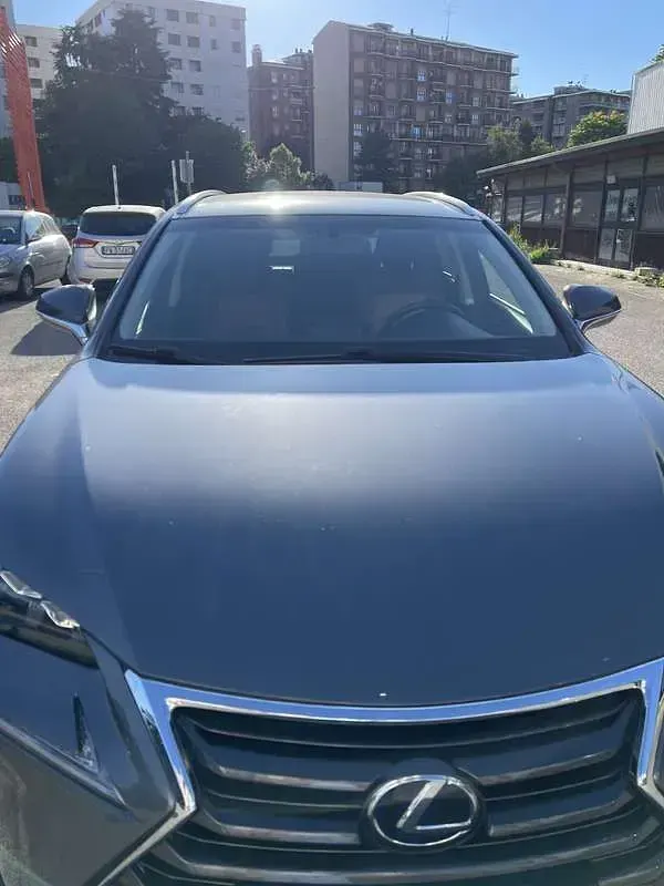 Usata Lexus NX300h 155 CV (114 kW) 2017 Grigio SUV