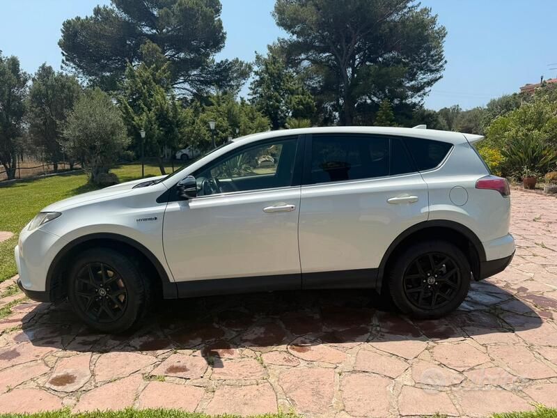 Usata Toyota RAV4 Hybrid 155 CV (114 kW) 2017 Bianco SUV