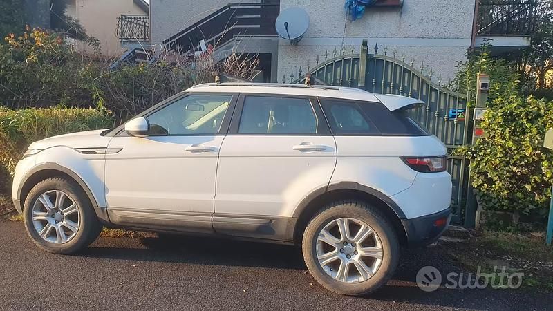 Usata Land Rover Range Rover evoque 150 CV (110 kW) 2017 Bianco SUV