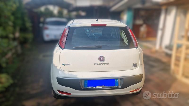 Usata Fiat Punto Evo 2009 Bianco Utilitaria