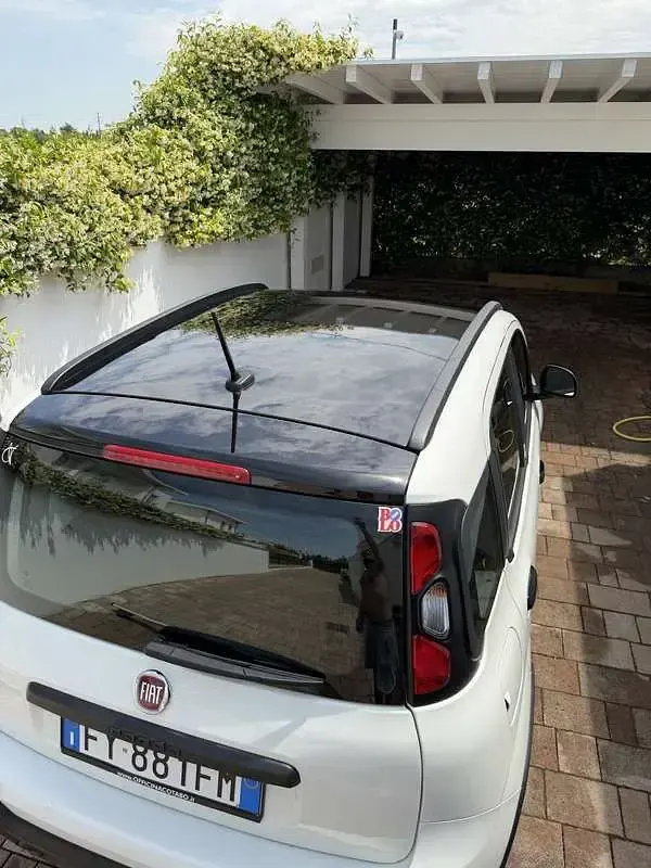 Usata Fiat Panda Connect 69 CV (50 kW) 2020 Utilitaria