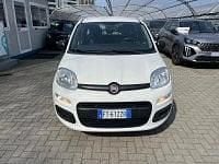 Usata Fiat Panda Easy 69 CV (50 kW) 2019 Bianco Utilitaria
