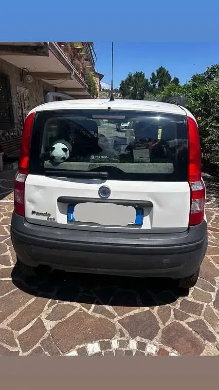 Usata Fiat Panda 4x4 60 CV (44 kW) 2007 Utilitaria