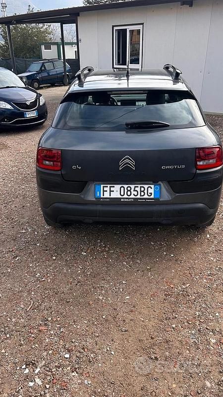 Usata Citroën C4 Cactus Shine 99 CV (72 kW) 2016 Grigio Utilitaria