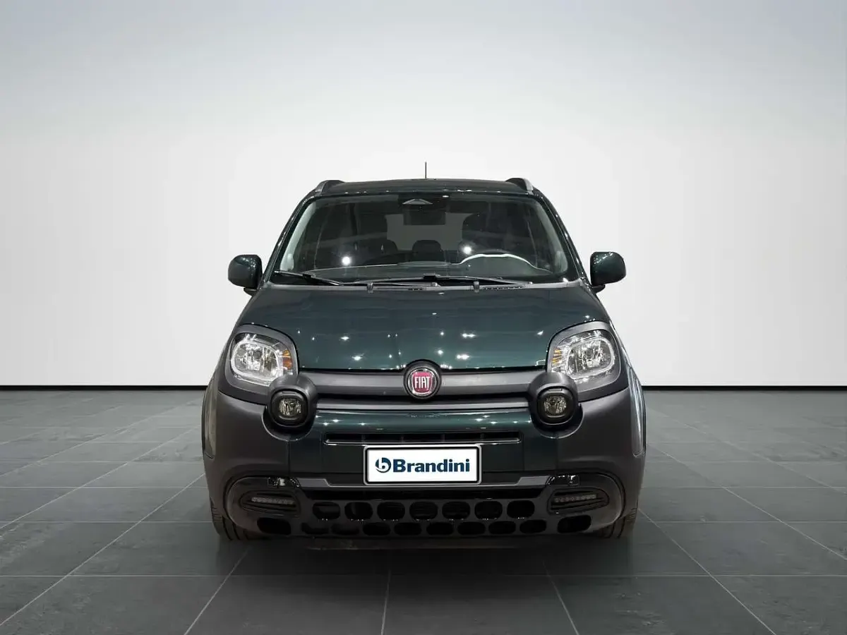 Usata Fiat Panda Cross Cross 70 CV (51 kW) 2025 Verde foresta Utilitaria