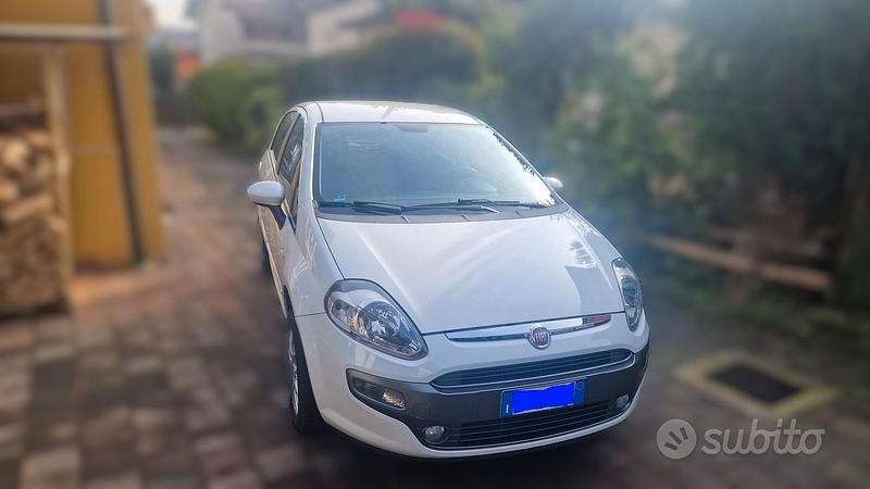 Usata Fiat Punto Evo 2009 Bianco Utilitaria